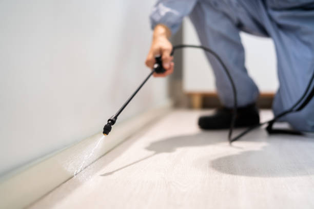 Bed Bug Pre-Treatment Preparation Assessment in Paramount