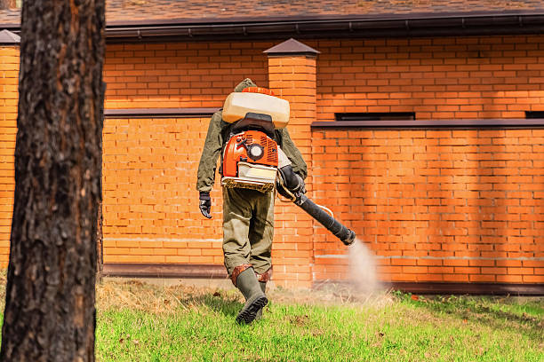 Bed Bug Clearance Verification and Documentation in Paramount